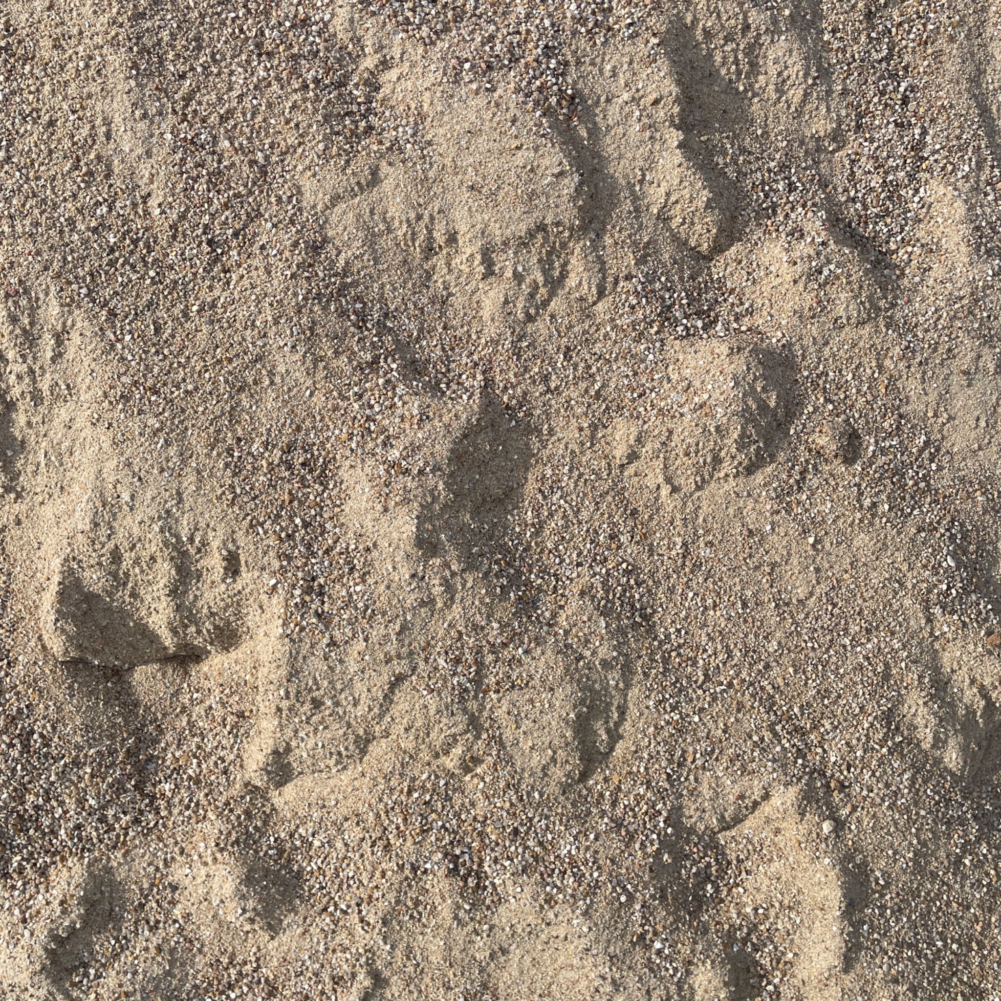 Grains